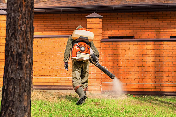 Trusted Bed Bug Control service in Shrewsbury, MO - Nex Pest Control